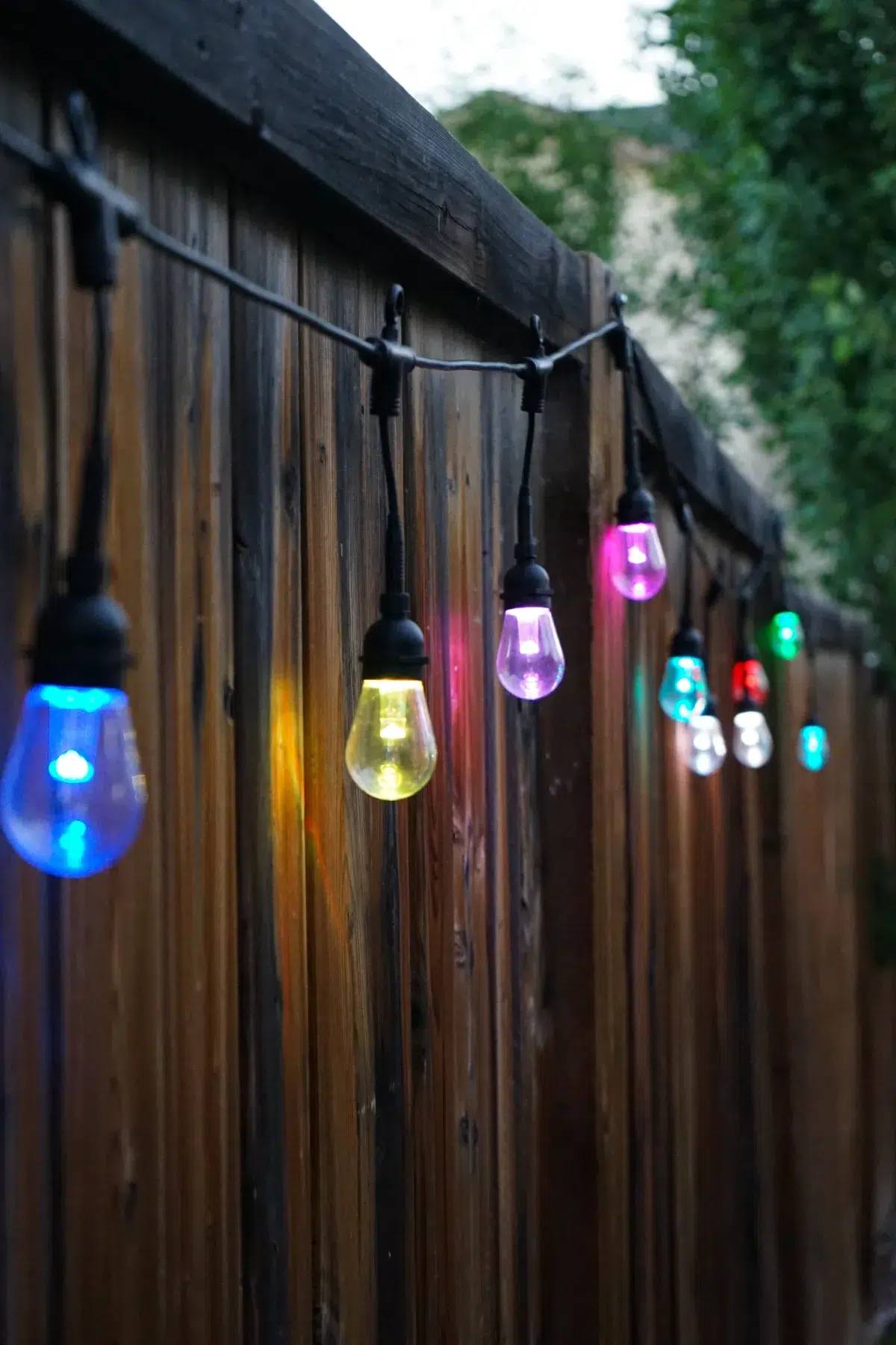 Row of Gemstone patio bulbs in different colours