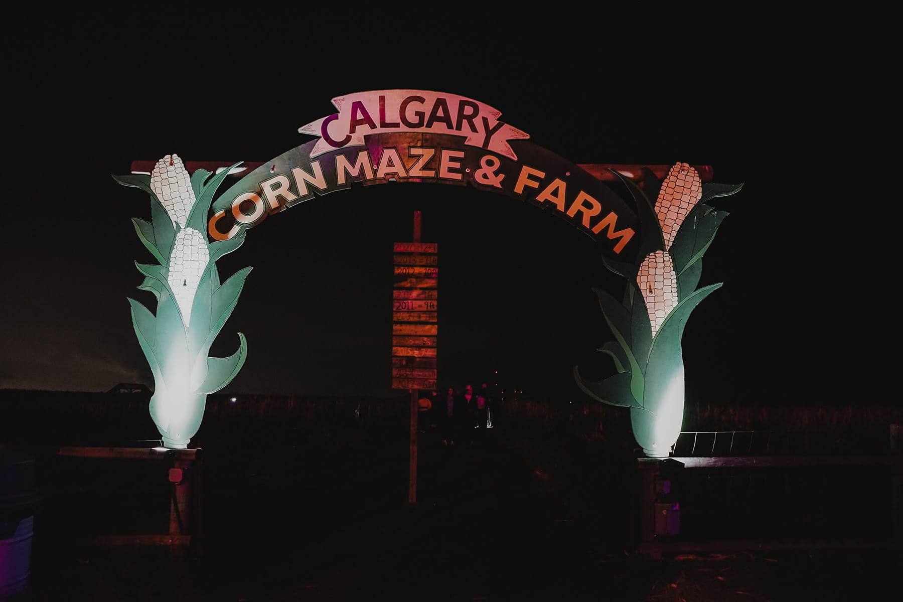 Farm entrance arch lit with coloured Gemstone flood lights at night