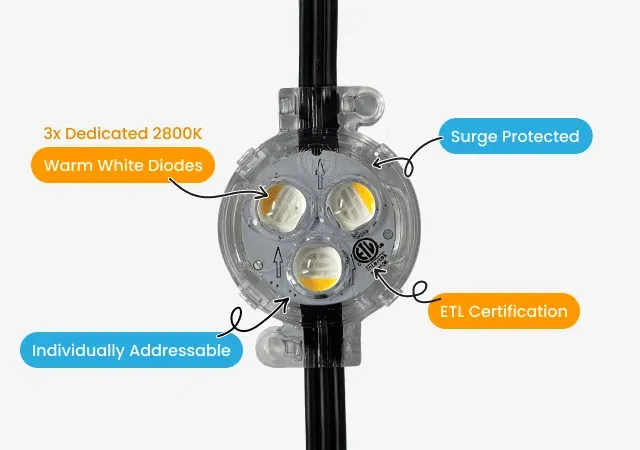 Diagram of a Gemstone light: three dedicated 2800K warm white diodes, individually addressable, surge protected, ETL certified